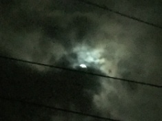 ￼￼kayla_parker_moon1_16_08_19