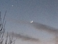 ￼￼kayla_parker_moon2_15_02_20