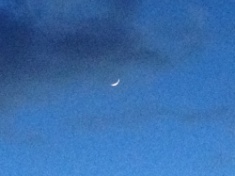 ￼￼kayla_parker_moon2_16_01_12