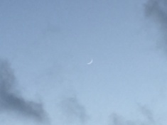 ￼￼kayla_parker_moon2_16_04_09