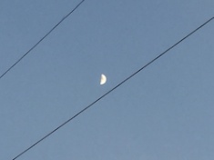 ￼￼kayla_parker_moon2_16_05_13