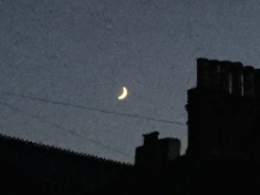 ￼￼kayla_parker_moon2_16_06_08