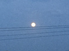 ￼￼kayla_parker_moon2_16_07_19