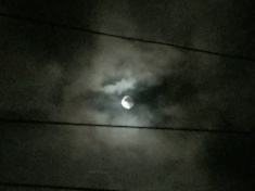 ￼￼kayla_parker_moon2_16_08_19