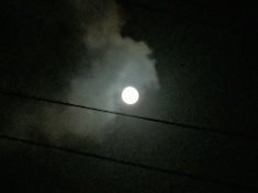 ￼￼kayla_parker_moon2_16_10_16