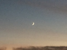 ￼￼kayla_parker_moon2_16_11_02