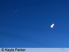 Kayla's photo of the new moon with Jupiter