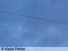 First photo of new crescent moon, obscured by clouds, hand-held in back garden by bay tree