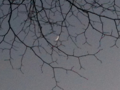 first photo of early crescent moon