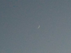 photo of new crescent moon taken from front doorstep