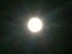 first photo of harvest moon, from the back doorstep