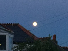 kayla_parker_moon1_17_07_08