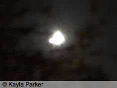 Colour photo of moon, taken just after 7.30pm in back garden Plymouth