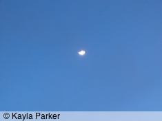 kayla's second photo of the new crescent moon, hand-held at arms length