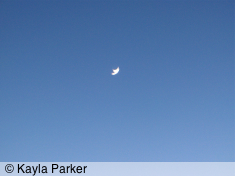 kayla's photo, taken a few breaths later, of the new crescent moon in a clear deep blue sky, front door step arms outstretched to the west