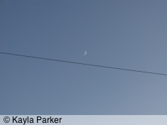 kayla's photo of the new crescent moon, taken hand-held a few seconds later from back garden over to May Terrace