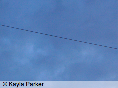 Second photo of new crescent moon, obscured by clouds, taken a few seconds later, hand-held in back garden by bay tree