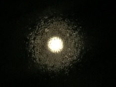 kayla_parker_moon2_17_05_10