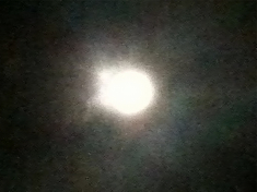 photo from bedroom window