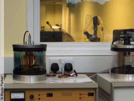 kayla's photo of plymouth electron micoscope centre