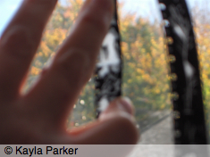 Close-up colour photo of Kayla Parker's left hand on the window in Studio One, with loop of 16mm film; trees behind