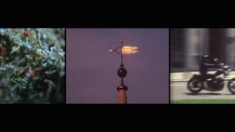 stuart-moore-2016-31-days