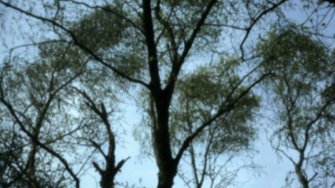 kayla-parker-2017-on-location-filmstill_05