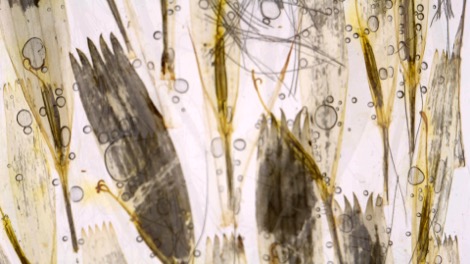 Parker-Moore-Flow-04-470